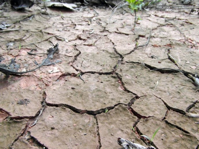 Archivo - Imagen de arhivo de sequía, cambio climático.