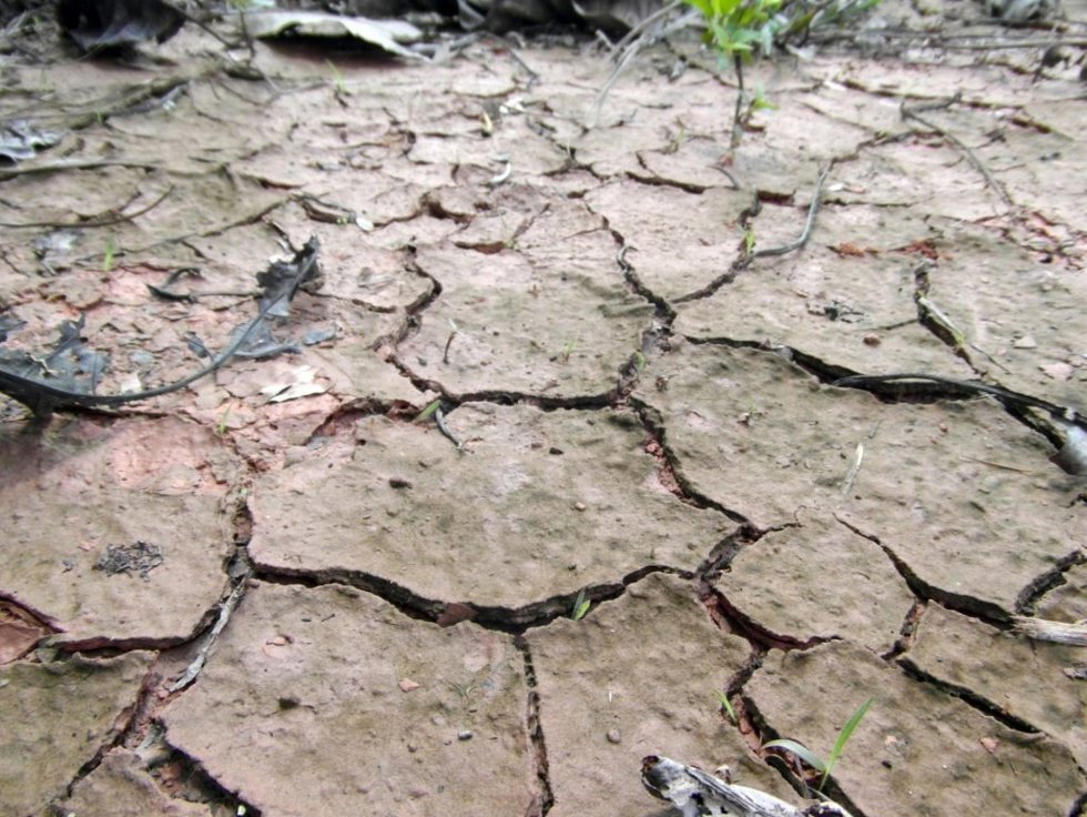 Archivo - Imagen de arhivo de sequía, cambio climático.