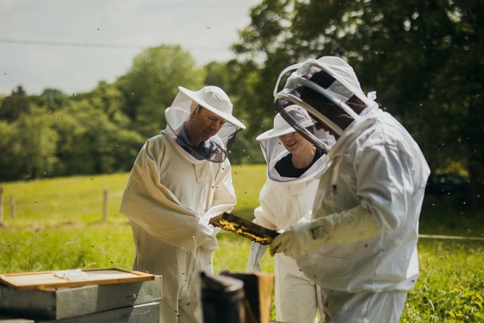Archivo - Arquivo - Recurso do projeto de repovoamento de abelhas ibéricas Smart Green Bees