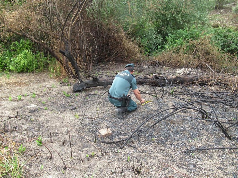 Un agente de la Guardia Civil estudia la zona del fuego.