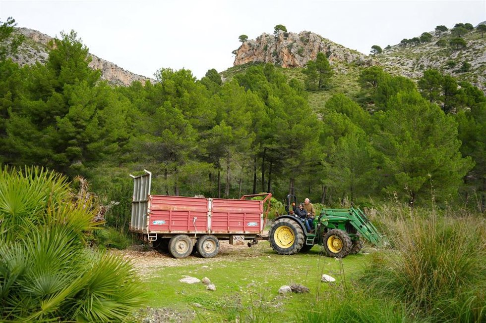 Archivo - Tractor en una explotación agraria de Calvià.