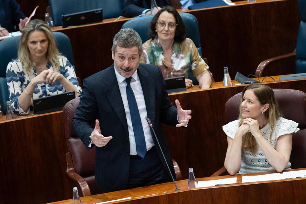 El consejero de Cultura, Turismo y Deporte, Mariano de Paco Serrano, durante un pleno, en la Asamblea de Madrid