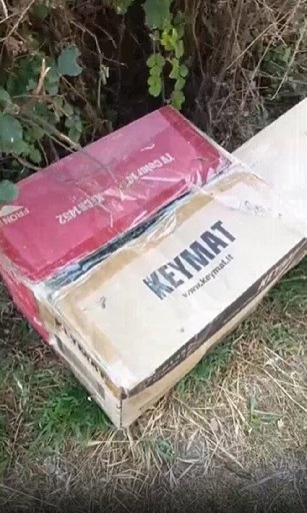 Una de las cajas en cuyo interior se encontraban los cachorros abandonados.