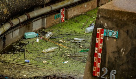 Medio Ambiente
