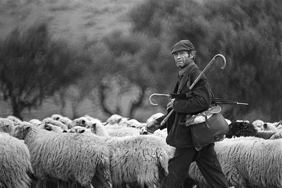 Fotografía de la exposición del "Trofeo Argizaiola"