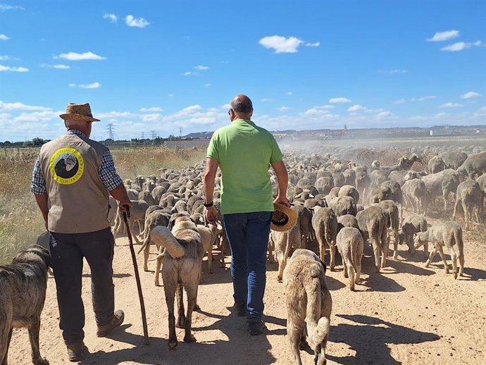 Canales visita a los pastores que conducen por la provincia dos rebaños trashumantes con más de 3.000 ovejas.