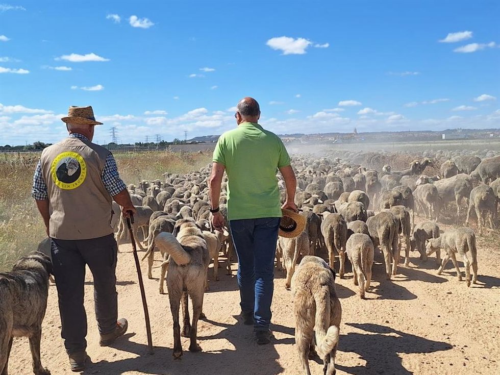 Canales visita a los pastores que conducen por la provincia dos rebaños trashumantes con más de 3.000 ovejas.