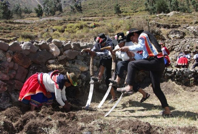 Perú.- Agro arequipeño conquista 52 países favorecido por crecimiento exportador sin precedentes