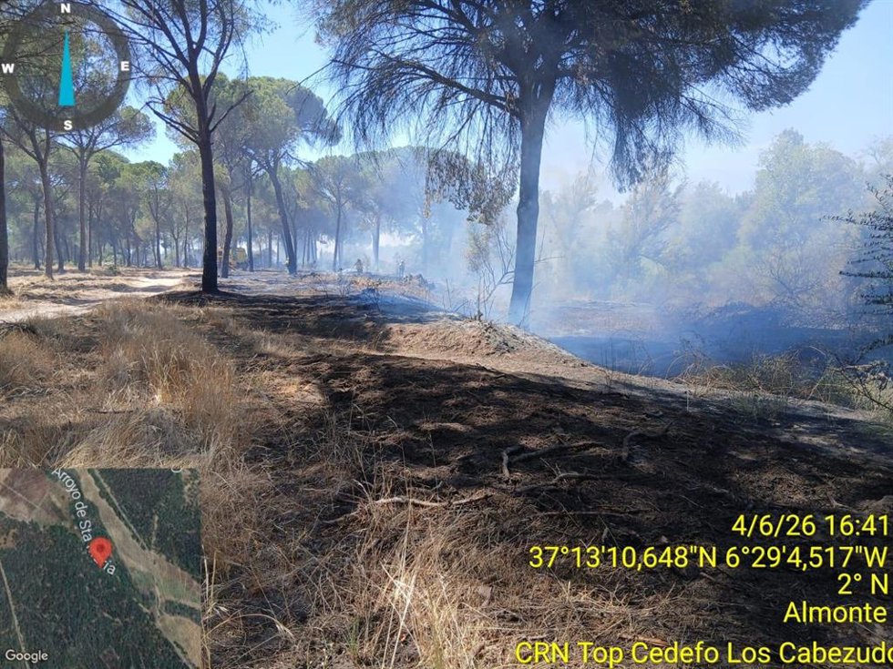 Incendio en el paraje Venta la Piedra de Almonte (Huelva).