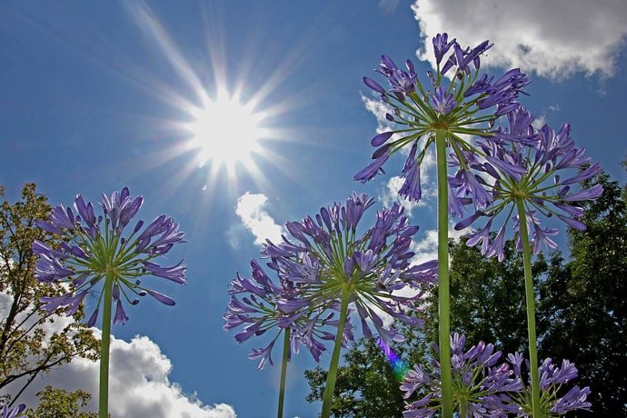 Archivo - Sol y nubes
