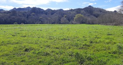 Cantabria