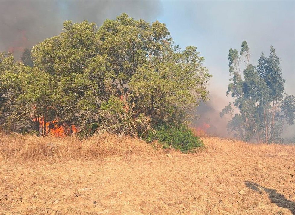 Incendio forestal de Alosno.