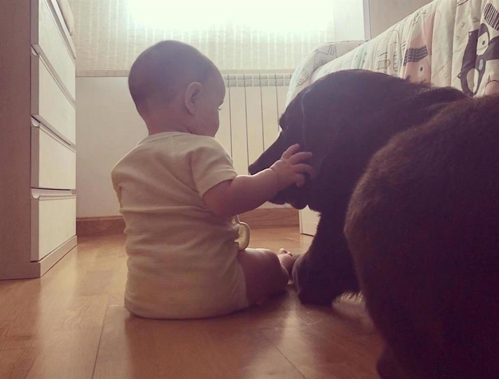 Un bebé acaricia a su perro.