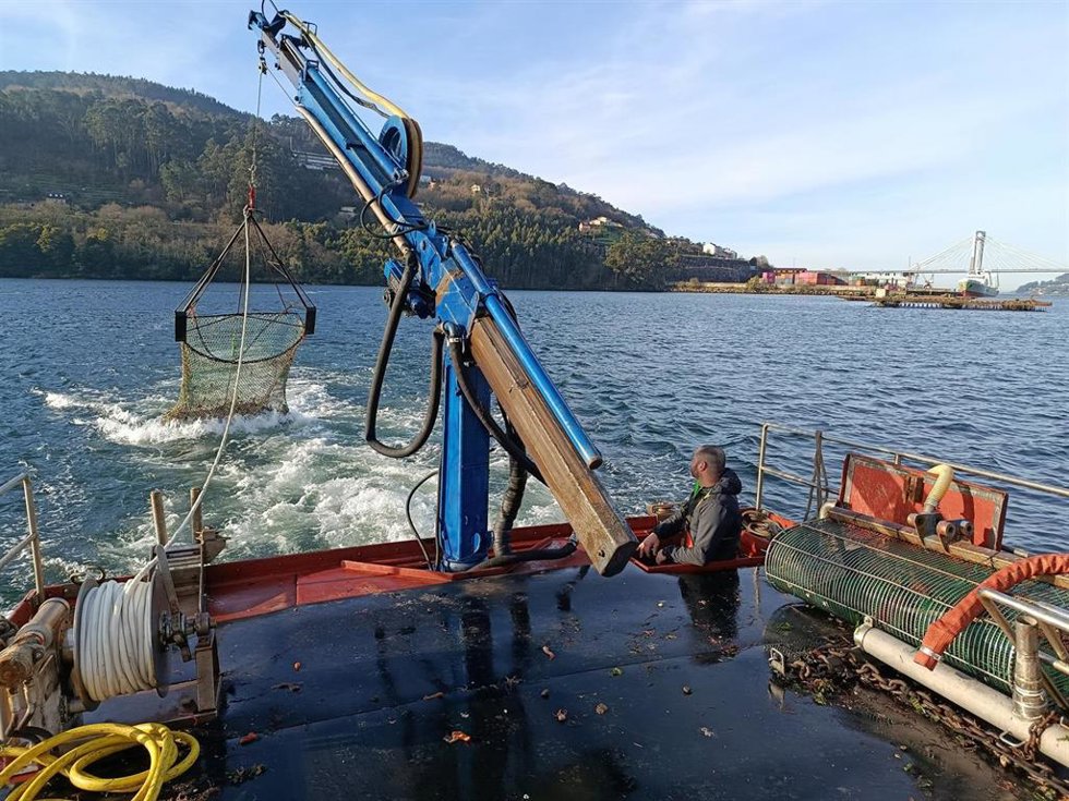 Archivo - El Ministerio de Pesca y el Instituto Español de Oceanografía investigan el gran barco Terranova.