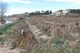 Foto: El Consell aprueba 26,7 millones en ayudas para la replantación de explotaciones agrícolas afectadas por la dana