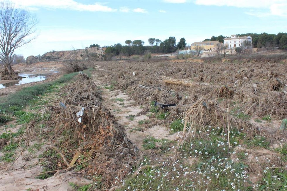 Archivo - Daños provocados por la dana en el campo valenciano