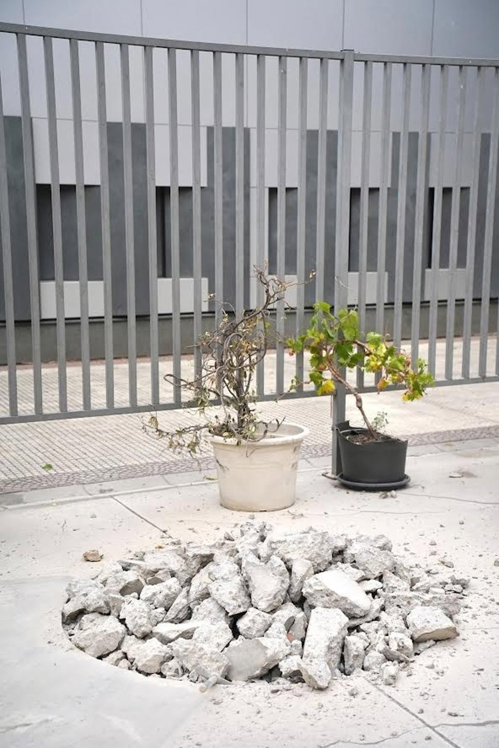 La Plaza de los Cuentos de Logroño será una isla climática con nuevo arbolado, un huerto urbano y nebulizadores