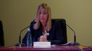 Perelló avala debate de resoluciones, pero no ve "admisible" críticas a la hones