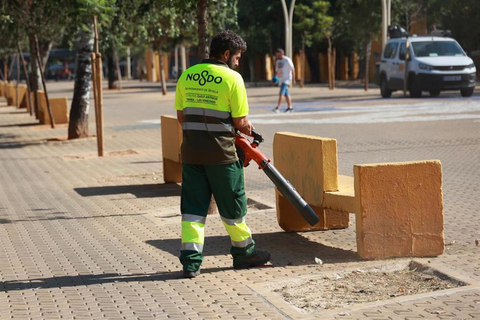 Archivo - Un operario del Ayuntamiento de Sevilla realiza labores de limpieza en la Alameda junto a un alcorque vacío, en foto de archivo