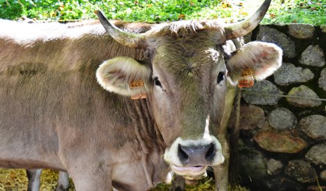 EpAgro - Agricultura