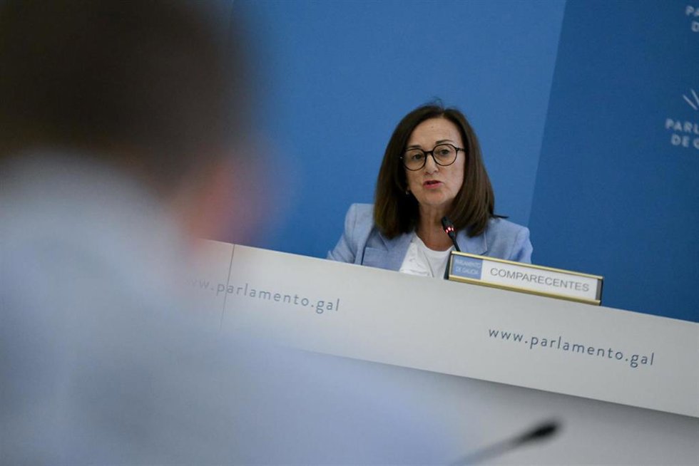 La directora xeral de Calidade Ambiental e Sostibilidade, María José Echevarría, en comisión