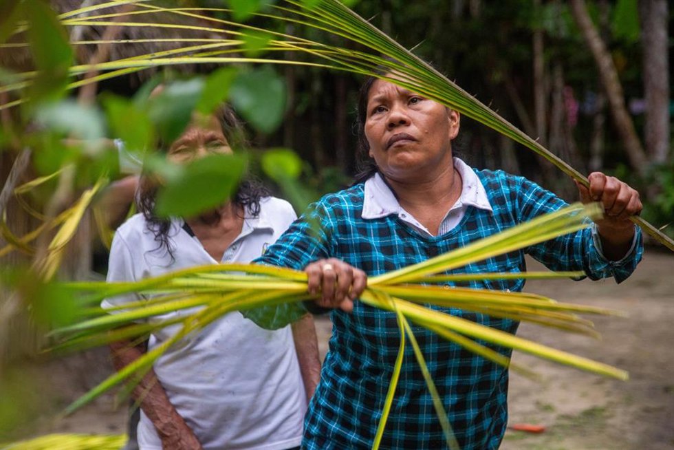 Archivo - Emprendedoras de Fundación Microfinanzas BBVA reogiendo plantas