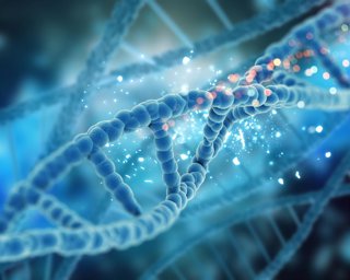 Archivo - Un estudio de la UB muestra que unas regiones del genoma humano "podrían desempeñar un papel clave en el cáncer"