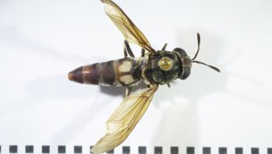 Laboratorio