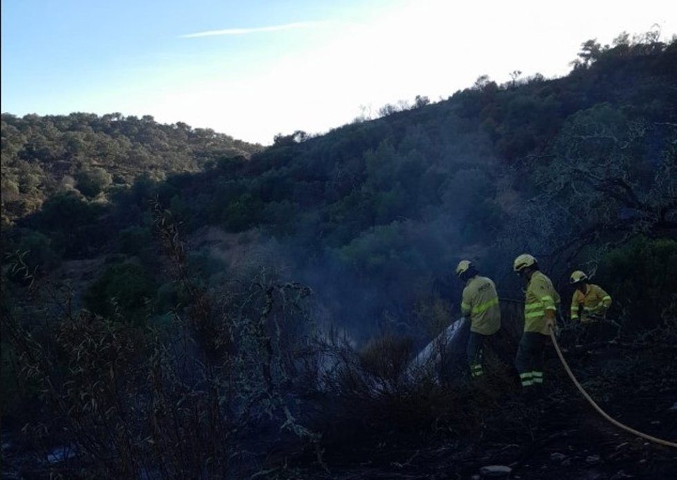 El Infoca trabaja en el incendio declarado en el paraje Carril del Cementerio de Alosno (Huelva).