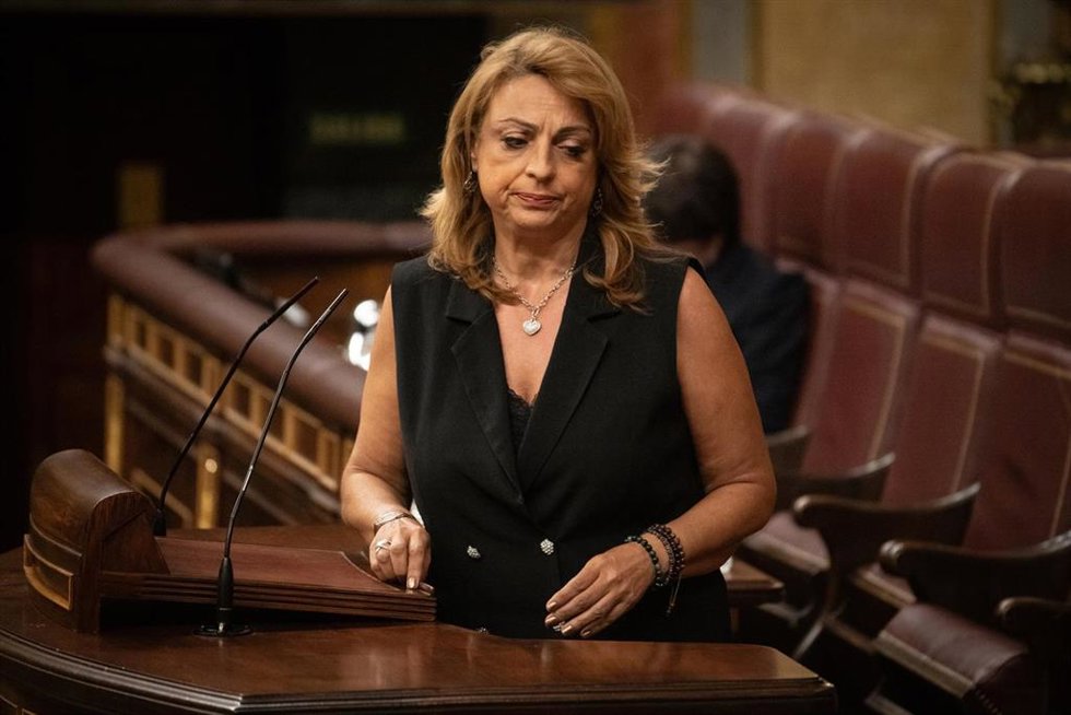 La diputada de Coalición Canaria Cristina Valido.