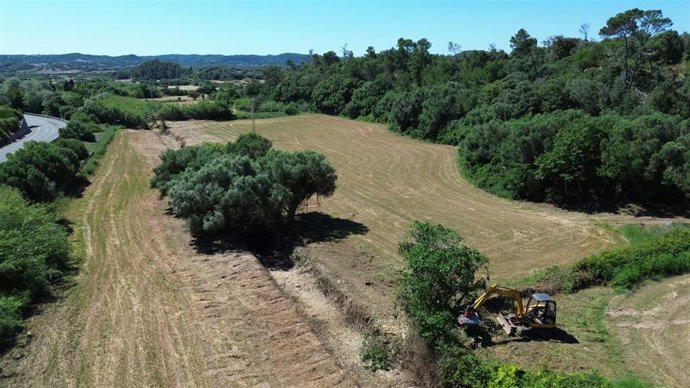 El Govern destina 300.000 euros a ayudas para impulsar la limpieza de torrentes en explotaciones agrarias y ganaderas.