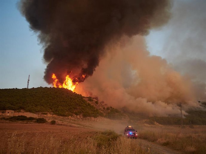 Archivo - Imagen de archivo del incendio forestal de Carcastillo en agosto de 2025.