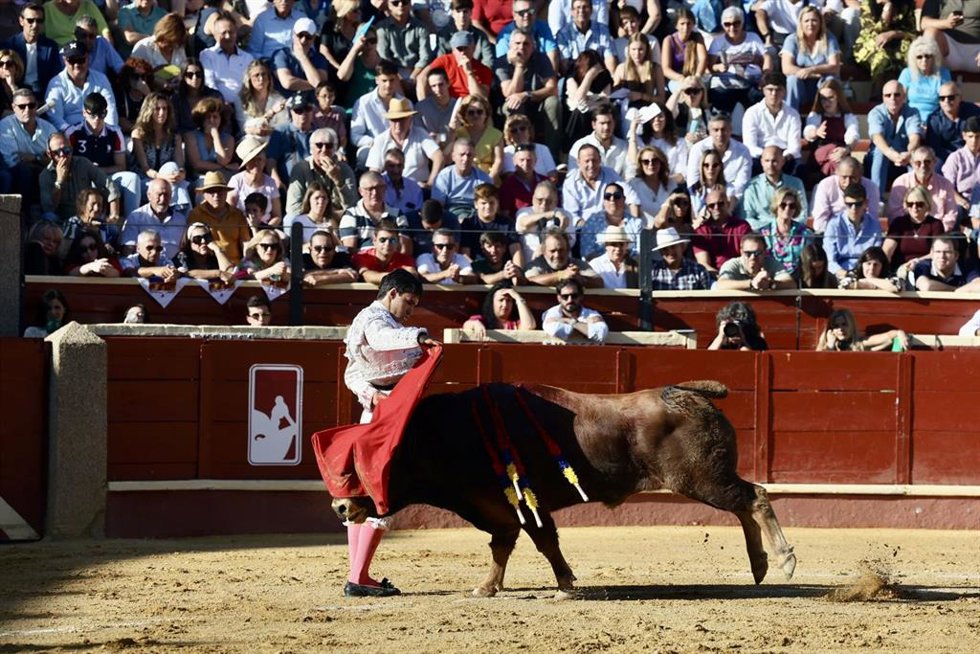 Archivo - La fundación critica que se ha incorporado una novillada