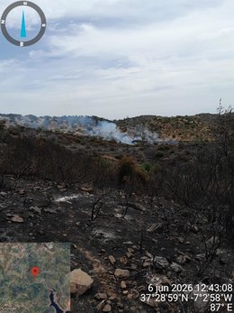 Imagen del Infoca en el incendio forestal de Alosno (Huelva).