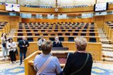 Foto: Baile de asientos en el Senado: la llegada de dos senadores de Vox obliga a reorganizar el hemiciclo