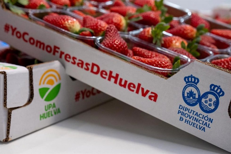 Archivo - Fresas de Huelva.