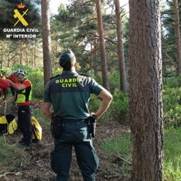 Un agente de la Guardia Civil observa los árboles en los que quedó suspendido el parapentista en Segovia.