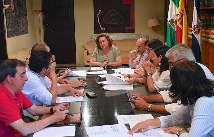 Comisión Local de Patrimonio Histórico de Jerez de la Frontera (Cádiz).