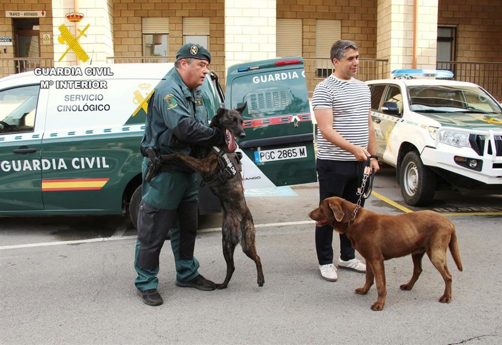 Adopción de Max, junto a su sustituta, Chini