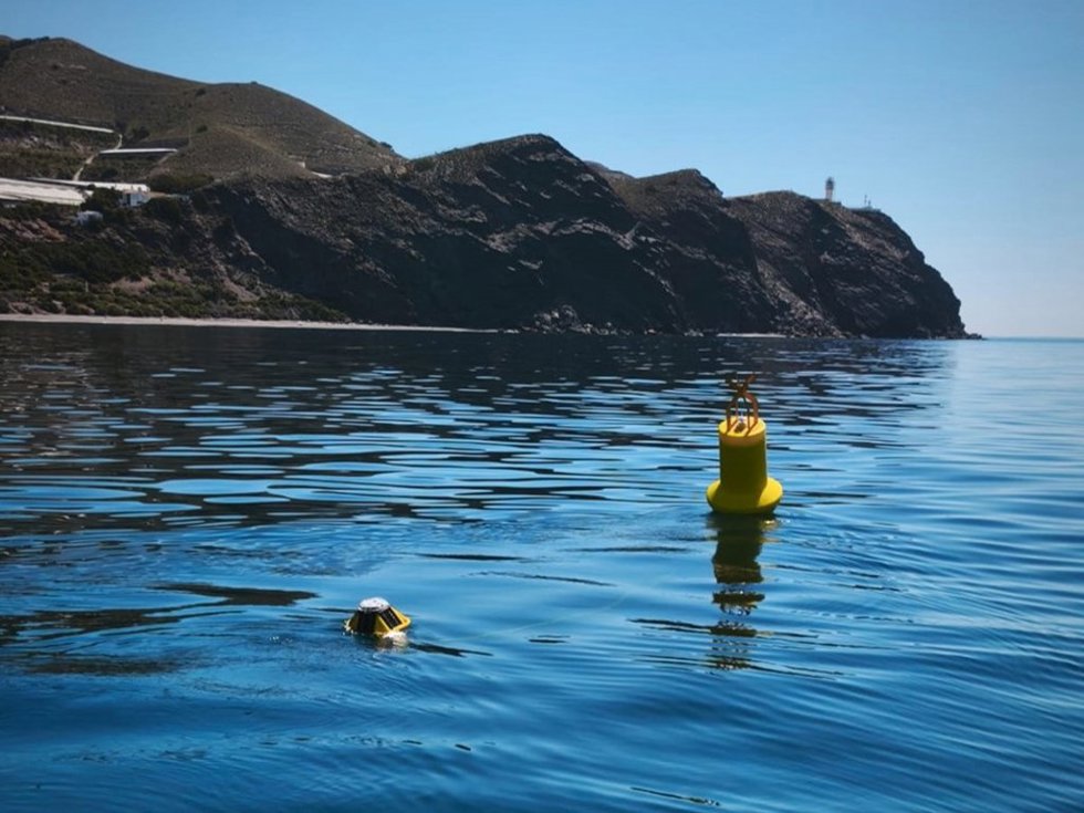 Aspecto de la boya oceanográfica en la superficie.