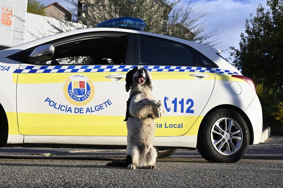 Policía Local de Algete