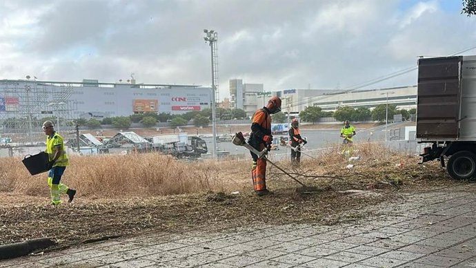 Dispositivo de Limpieza en la zona de 7 Palmas, en Las Palmas de Gran Canaria, con motivo de la visita del Papa