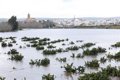 El Gobierno paga 167,3 millones en ayudas a 12.200 agricultores y ganaderos afectados por las borrascas en Sevilla