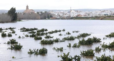 Sevilla