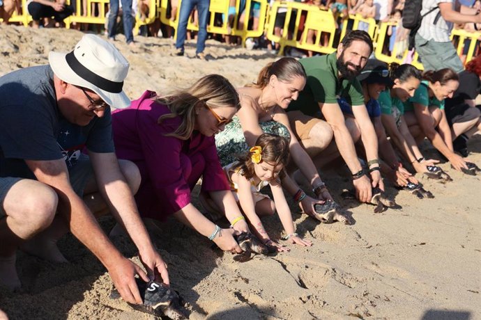 Liberan 39 crías de tortugas marinas en la playa de Can Pere Antoni de Palma