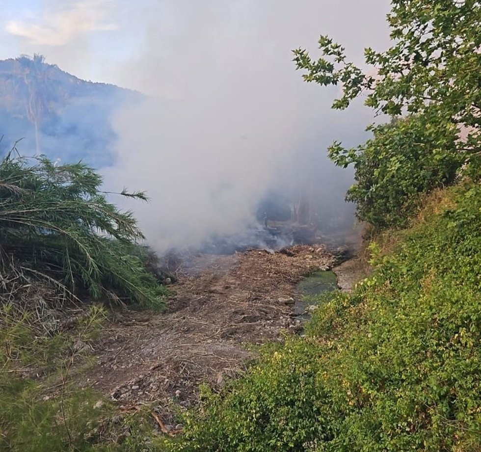 Incenido agrícola en Sóller.