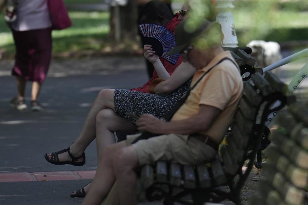 Varias personas se resguardan en la sombra en un parque.