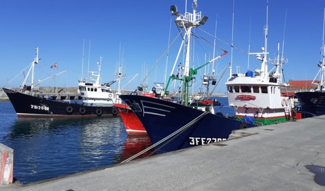 EpAgro - Pesca