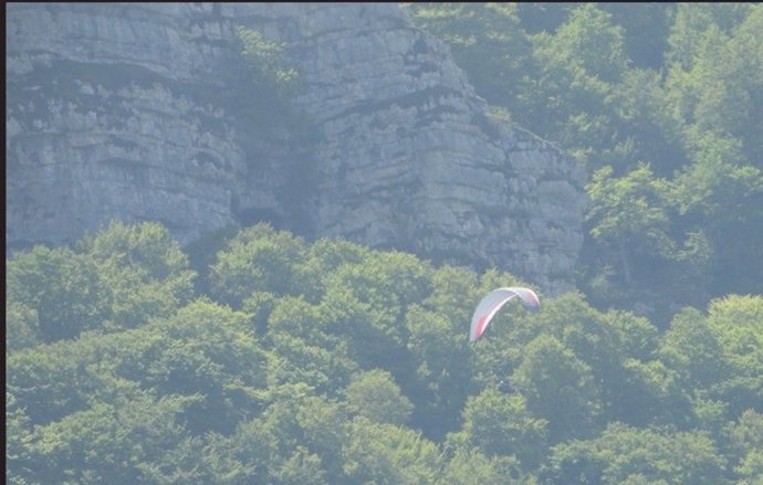 Ekologistak Martxan denuncia vuelos de parapente junto a zonas reproducción del alimoche