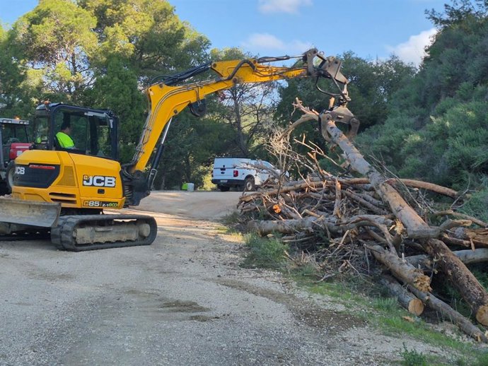 Archivo - Trabajos de la Junta de Andalucía en montes públicos de Málaga.